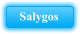 Salygos