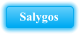 Salygos