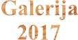 Galerija    2017